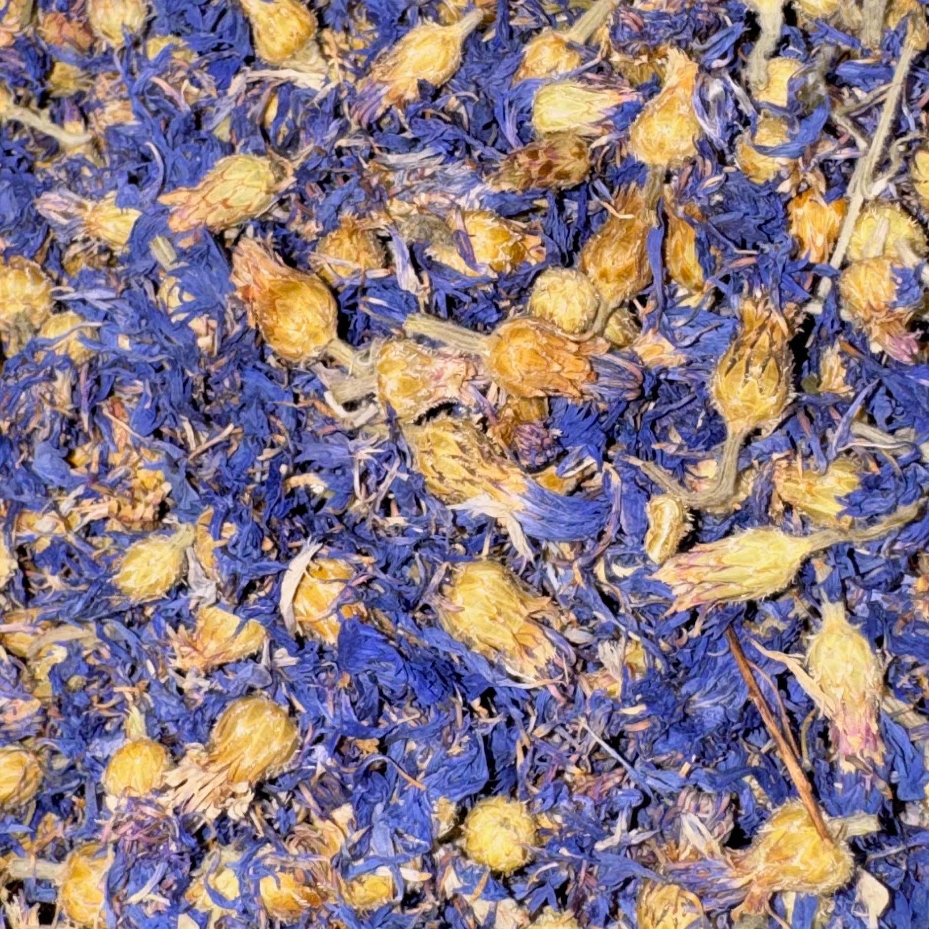 Corn Flowers Whole