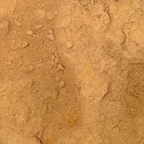 Dong Quai Root Powder