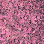 Dulse Flakes - North Atlantic