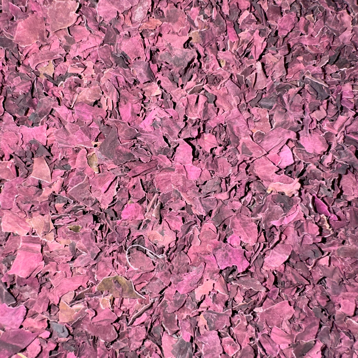 Dulse Flakes - North Atlantic