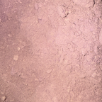 Dulse Powder