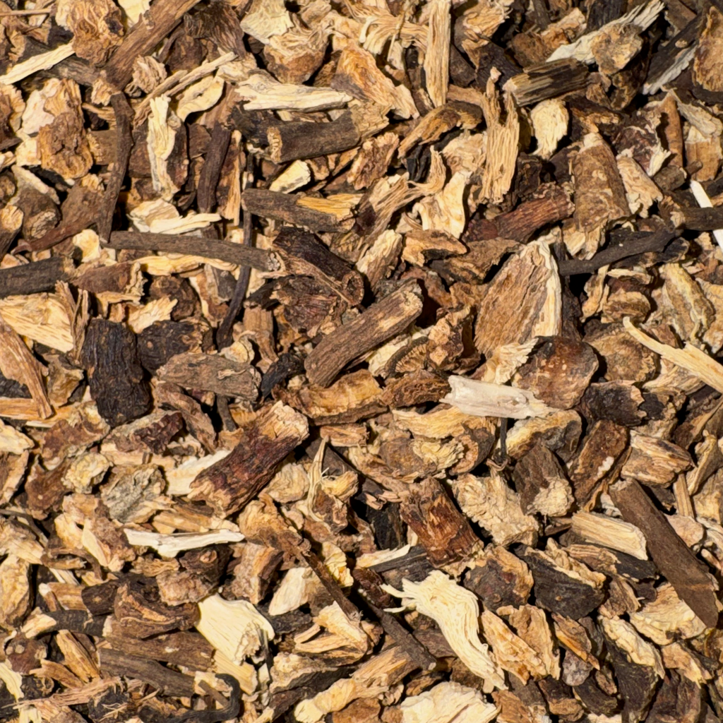 Echinacea Root Cut