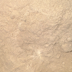 Echinacea Root Powder