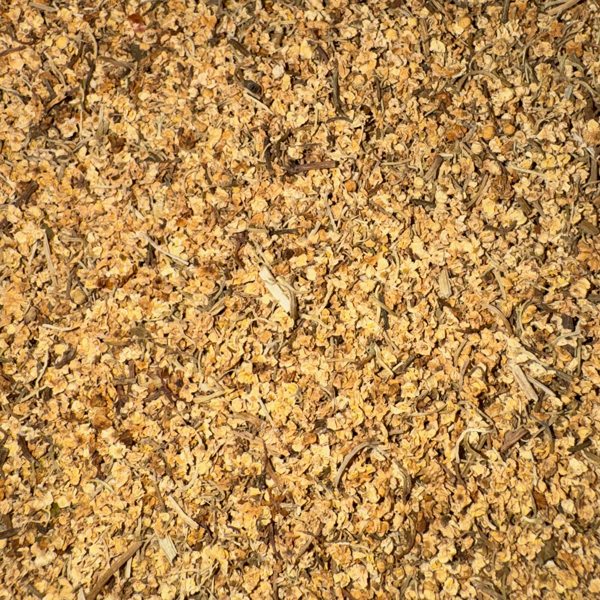 Elder Flowers