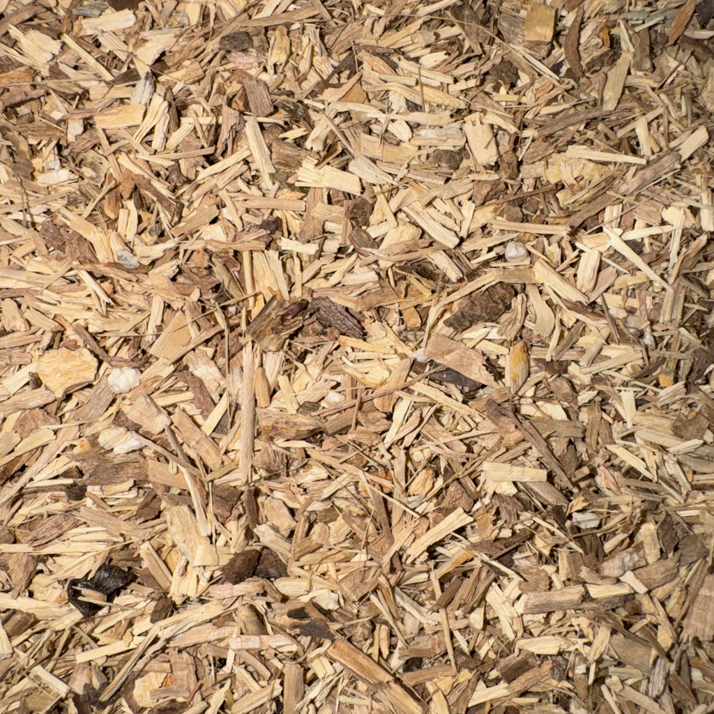 Eleuthero Root Cut