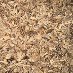 Eleuthero Root Cut