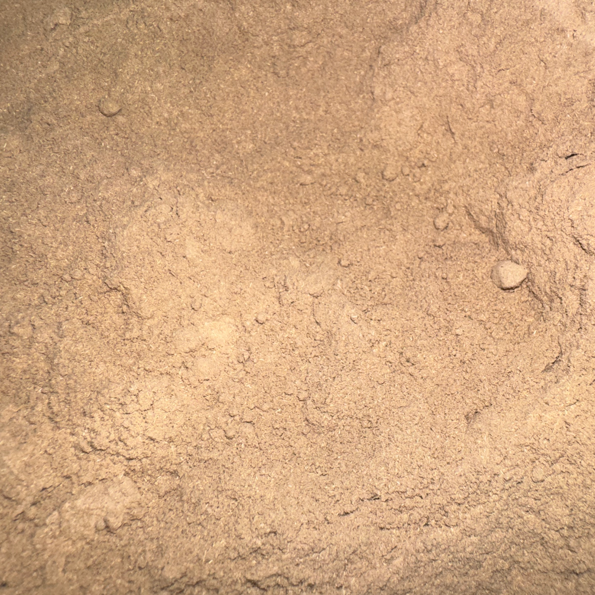 Eleuthero Root Powder