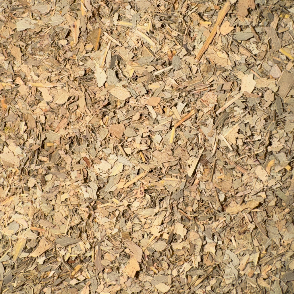 Eucalyptus Leaves Cut