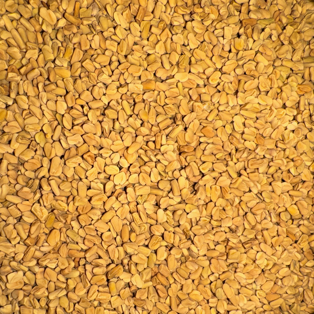 Fenugreek Seeds