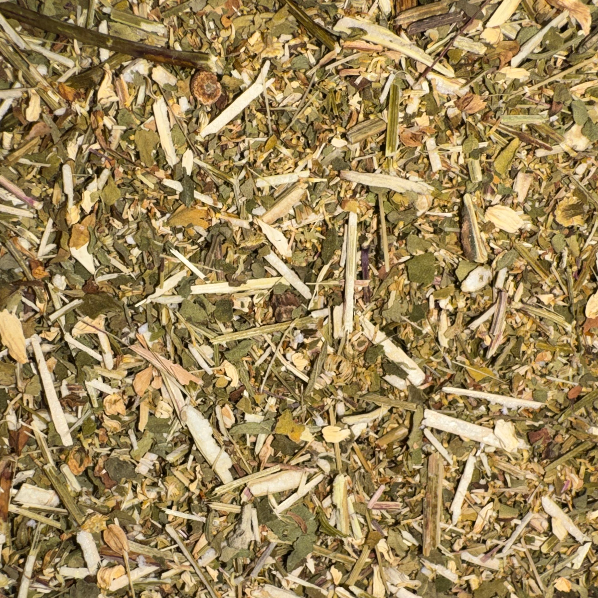 Feverfew Leaf Cut