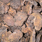 Fo-Ti Tieng Root