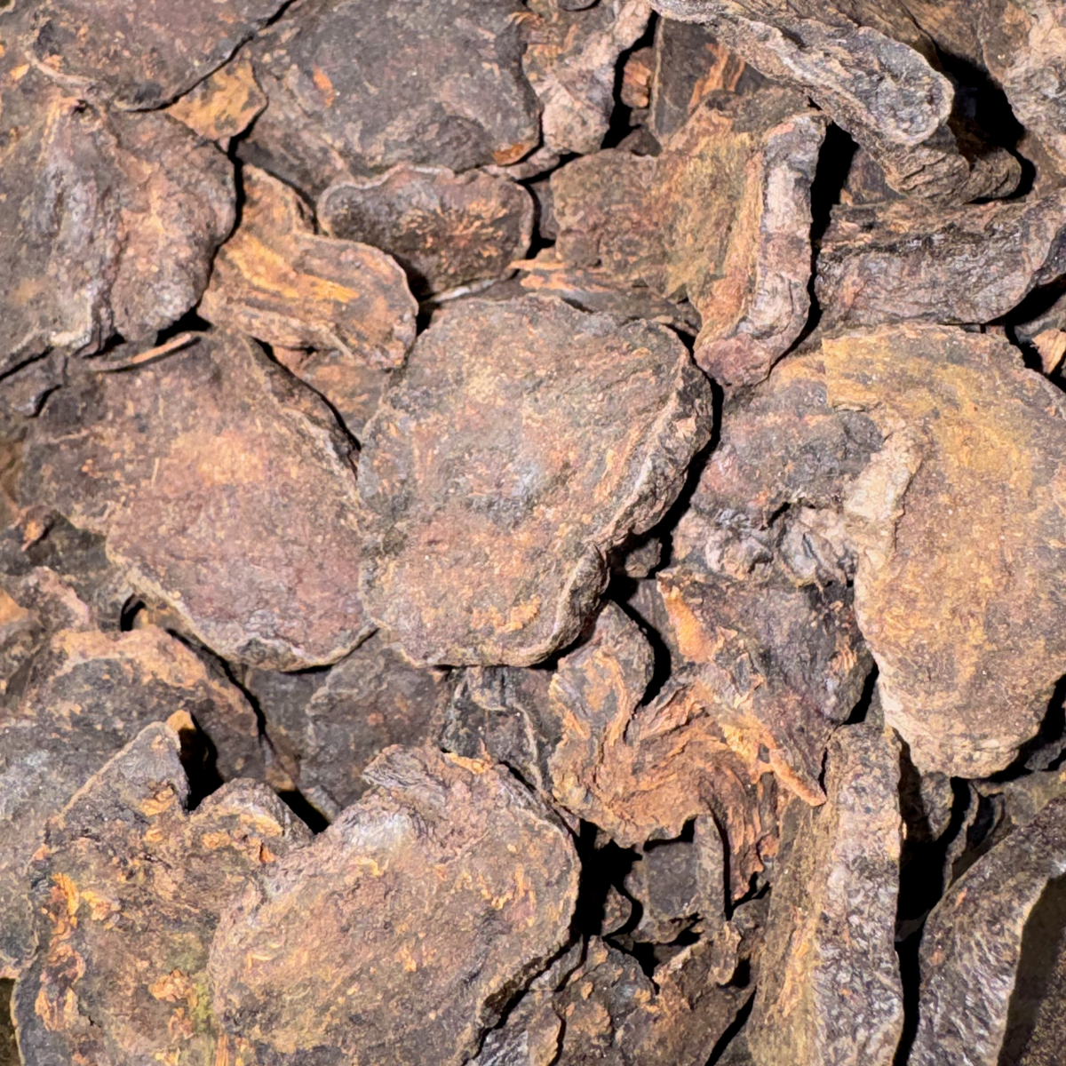 Fo-Ti Tieng Root