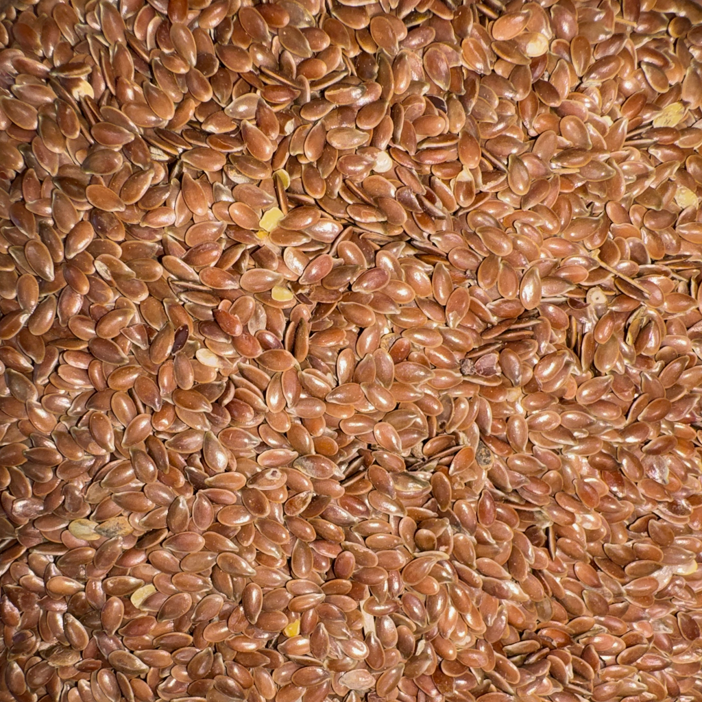Flax Seeds, W