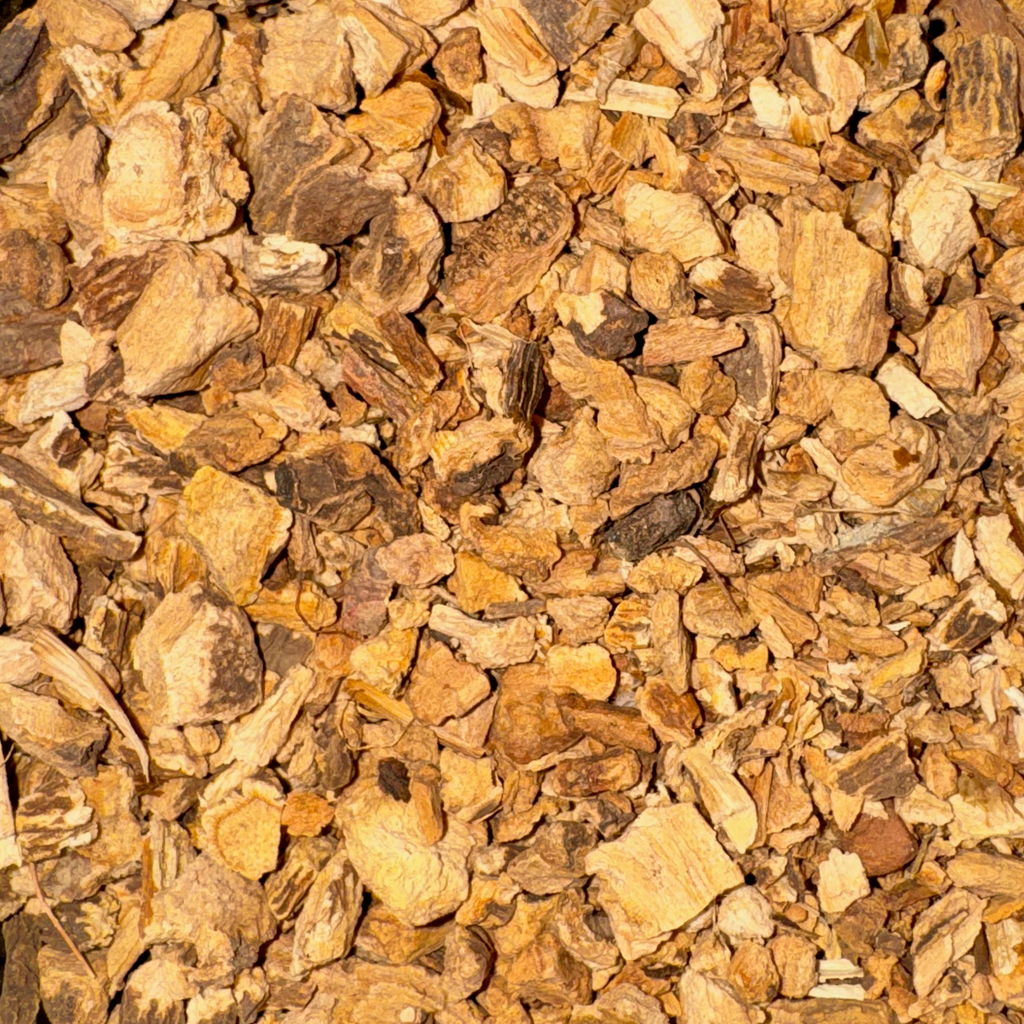 Gentian Root Cut