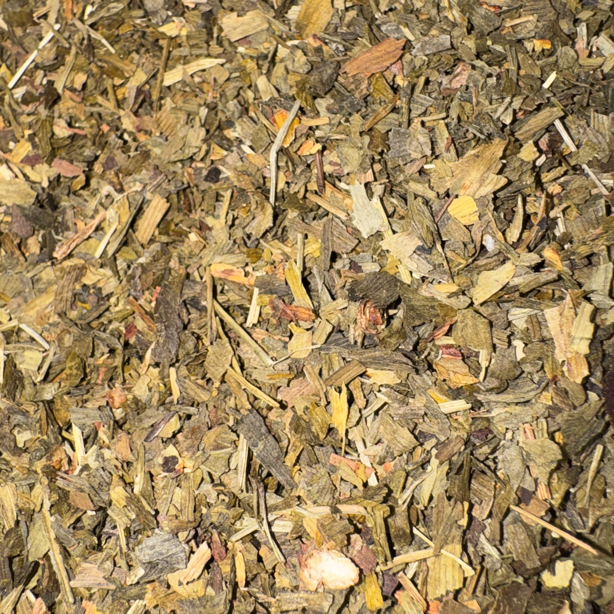 Ginkgo Leaf Cut