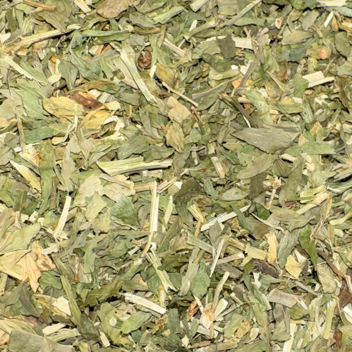 Goat's Rue Leaf Cut