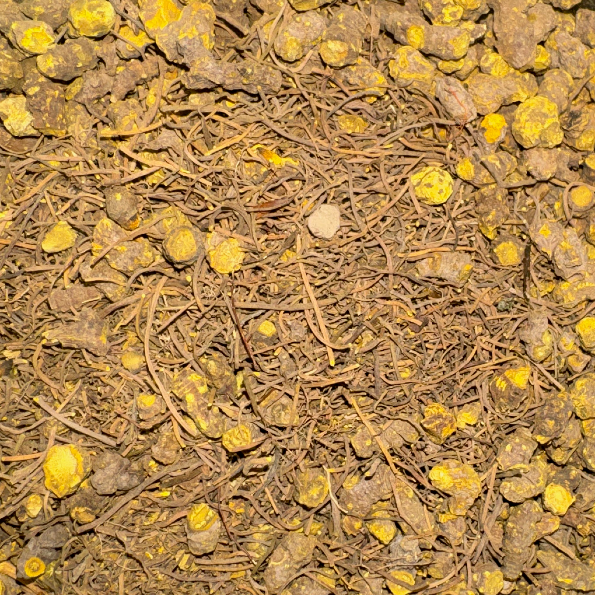Goldenseal Root Cut
