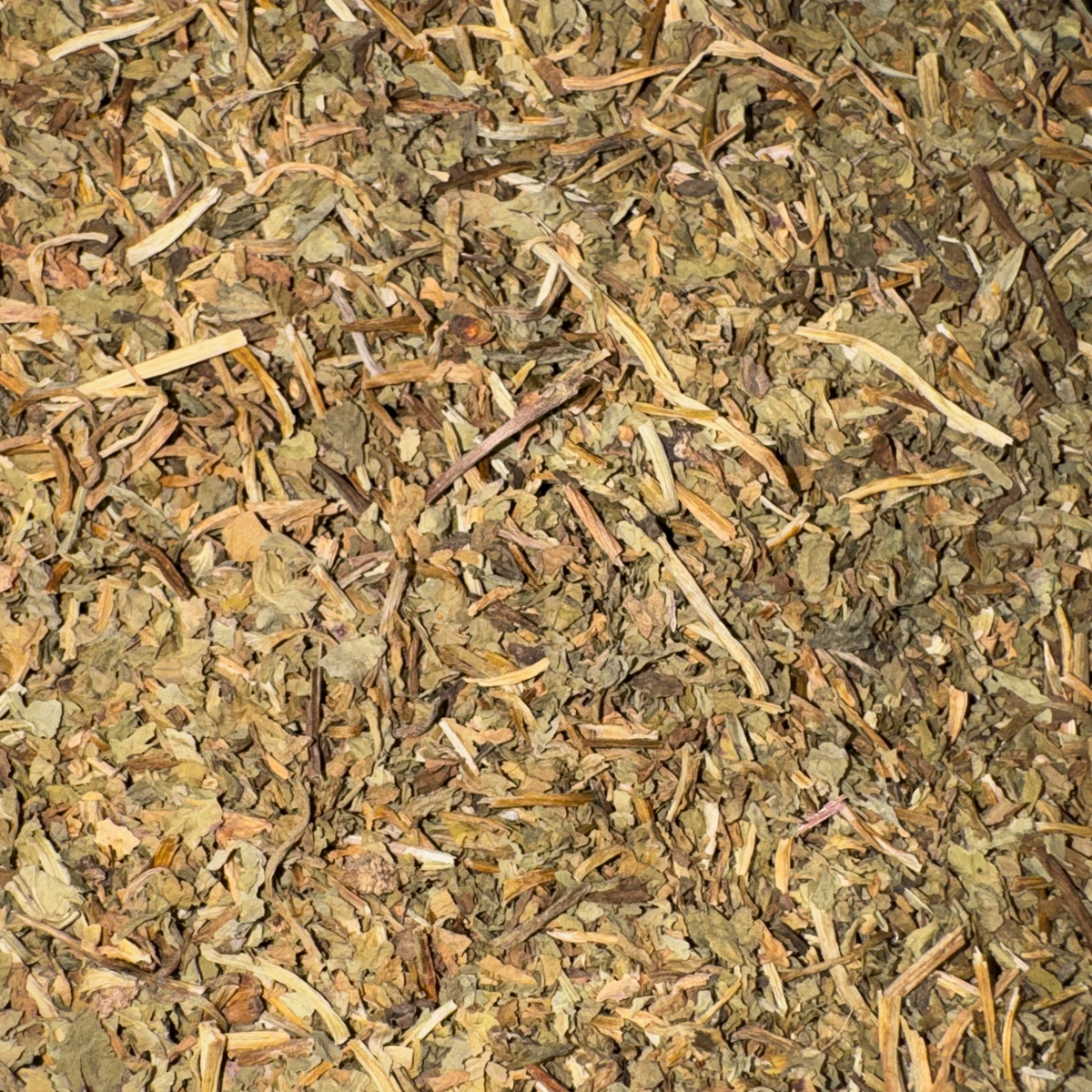Gotu Kola Leaf Cut