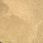 Gotu Kola Leaf Powder
