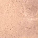 Gum Benzoin Powder
