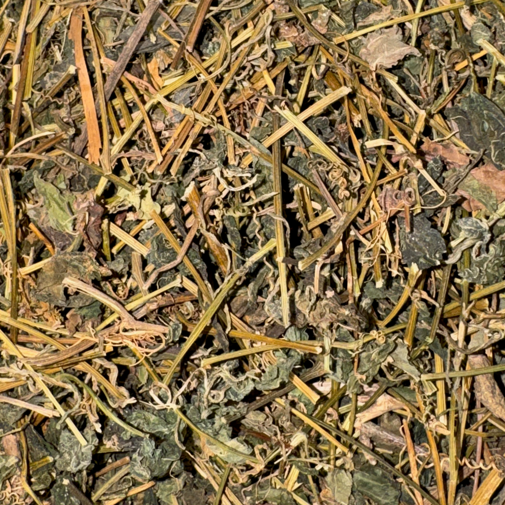Gynostemma (Jiaogulan) Leaf