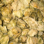 Hops Flowers