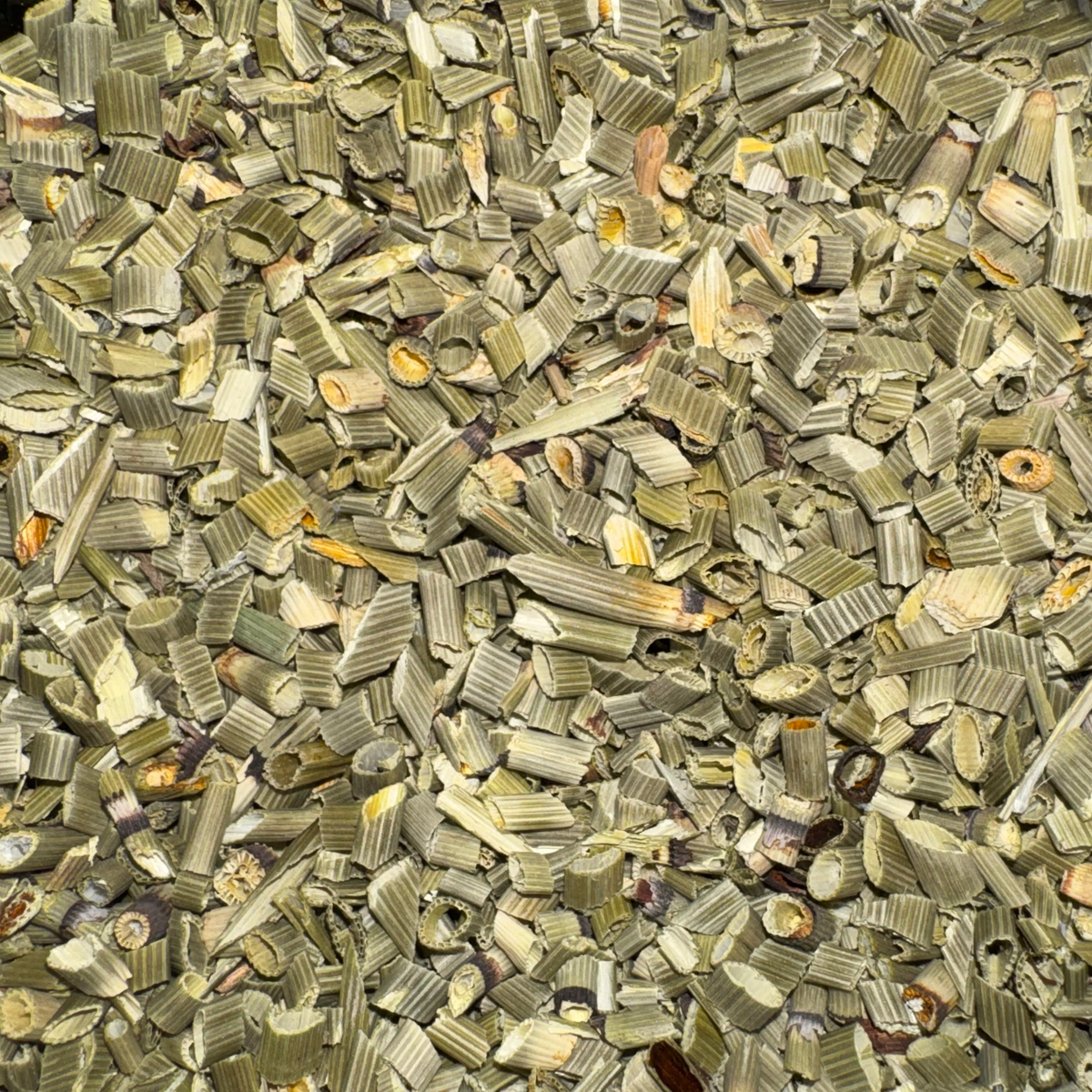 Horsetail Herb Cut