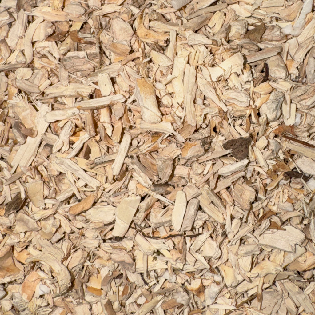 Hydrangea Root Cut
