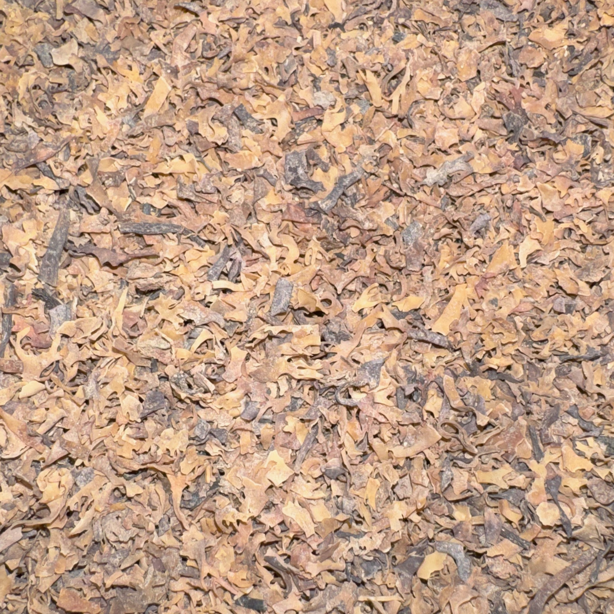 Irish Sea Moss Cut