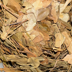 Jaborandi Leaf Whole