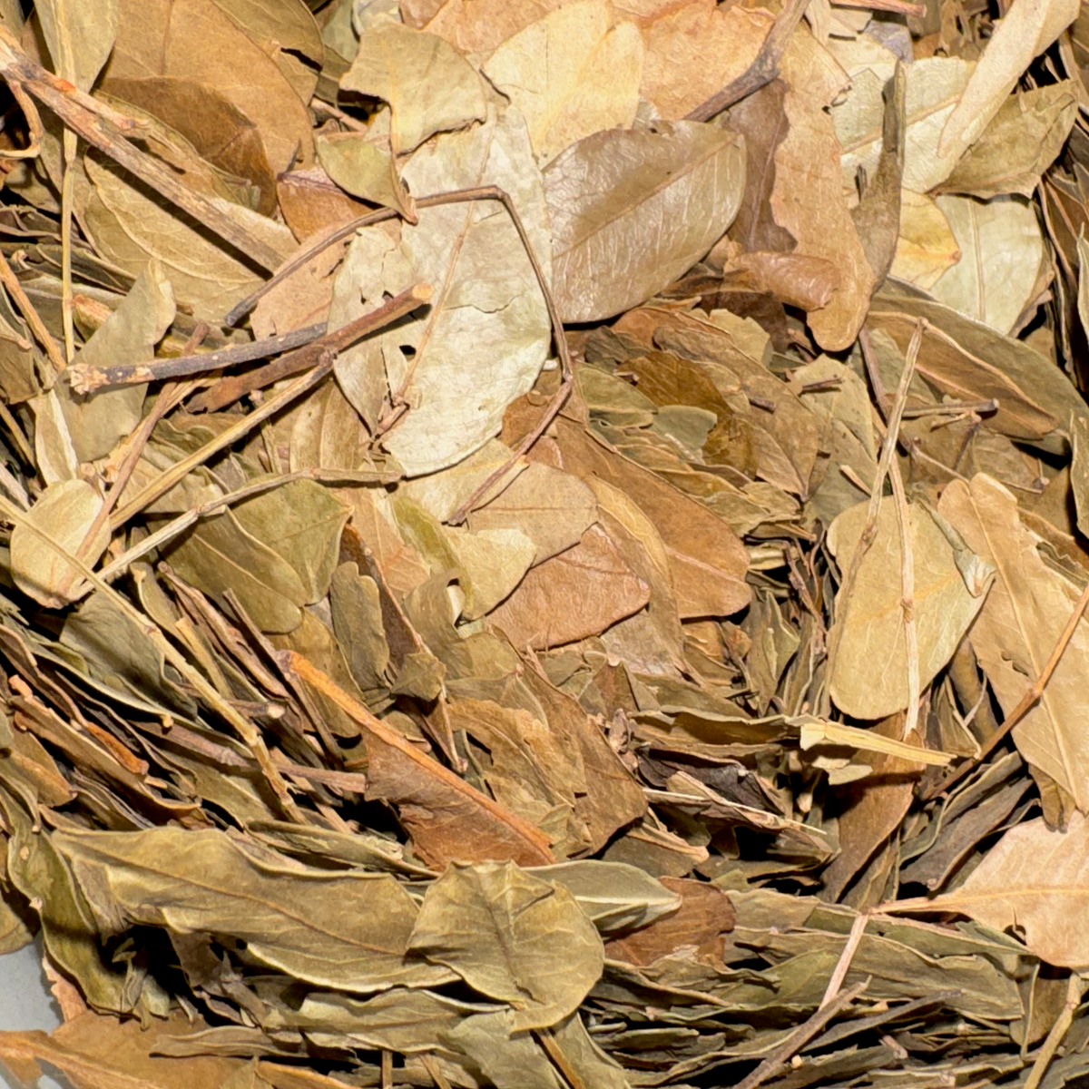 Jaborandi Leaf Whole