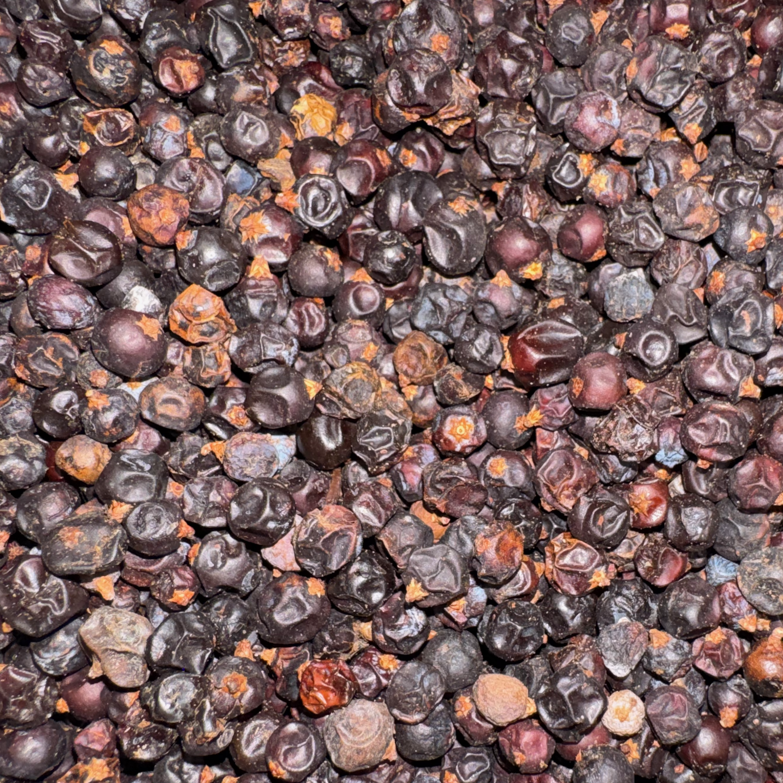 Juniper Berries, Blue Whole