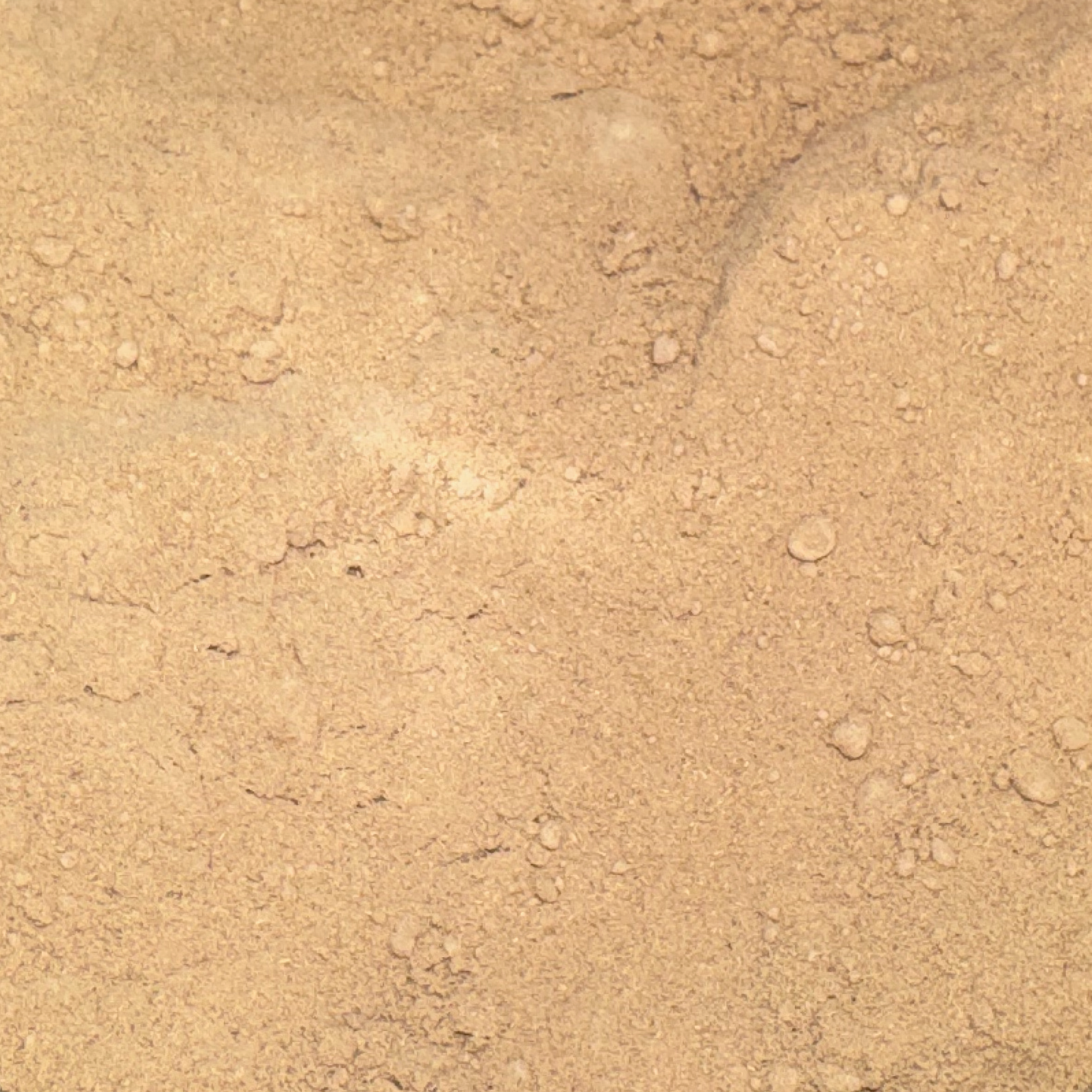 Kava Kava Root Powder