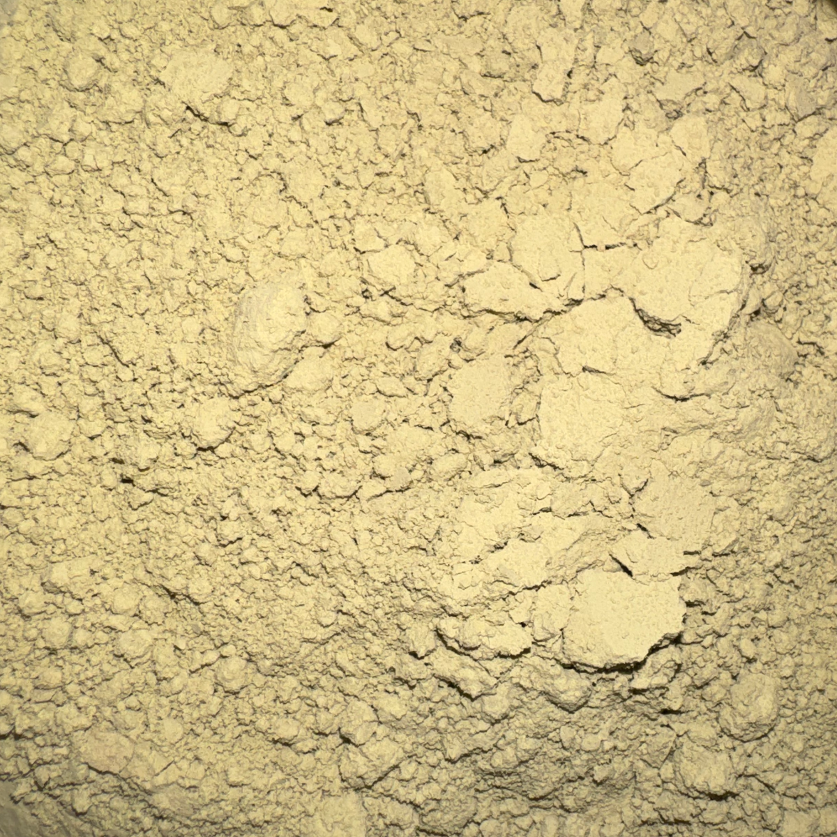 Kelp Powder