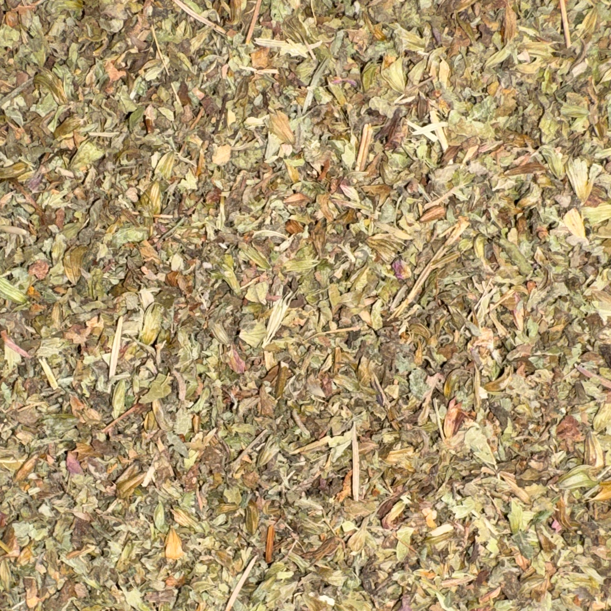 Lemon Balm Cut