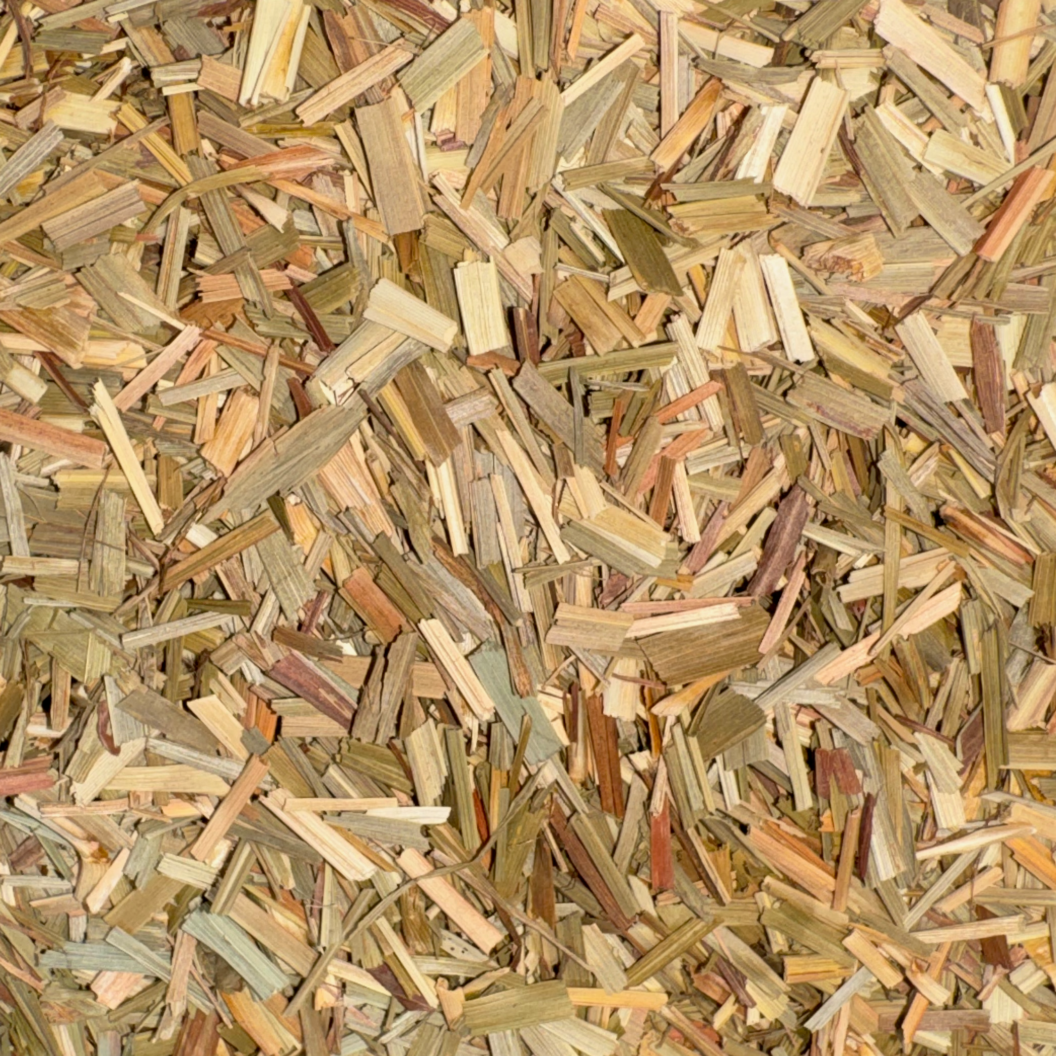 Lemon Grass Cut