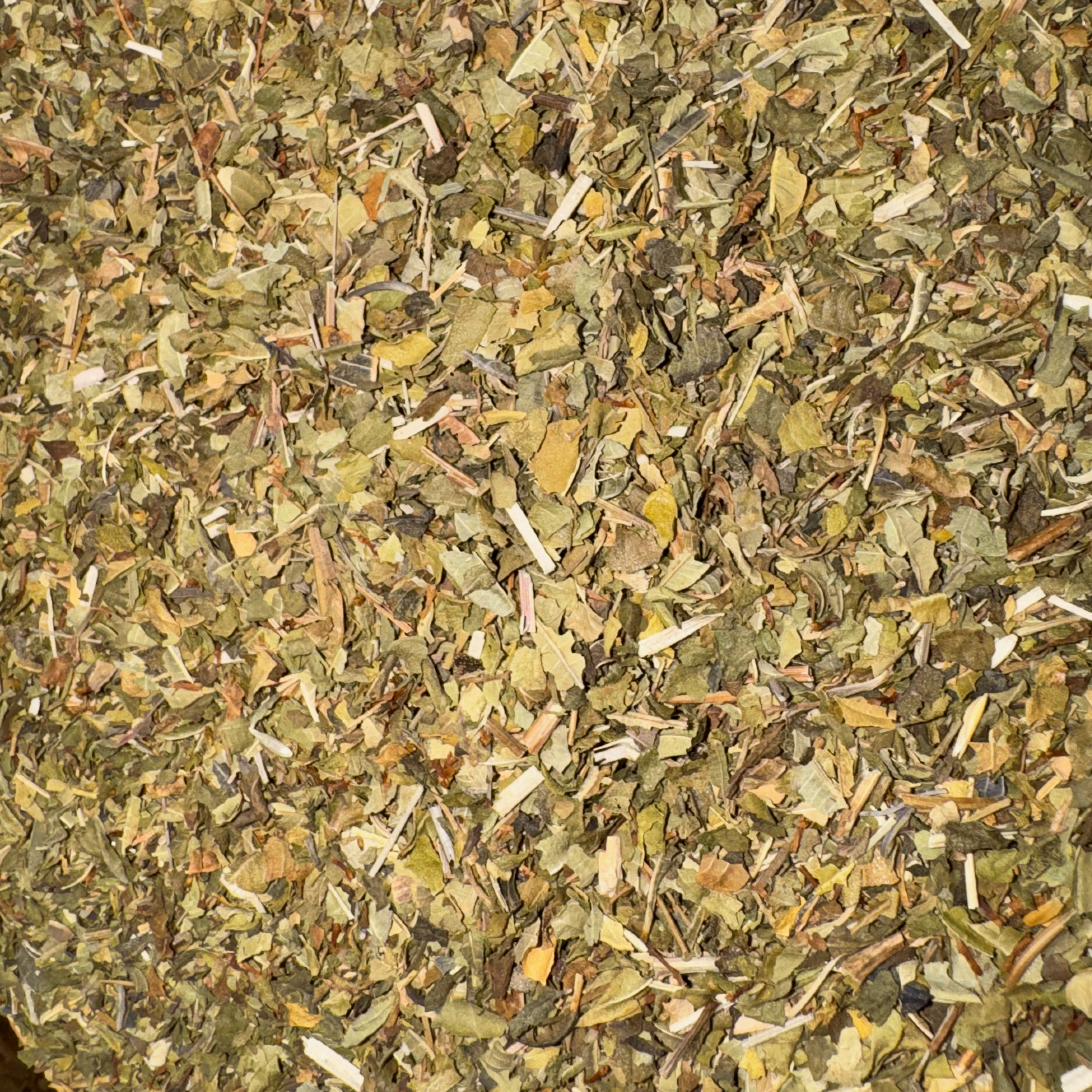 Lemon Verbena Cut