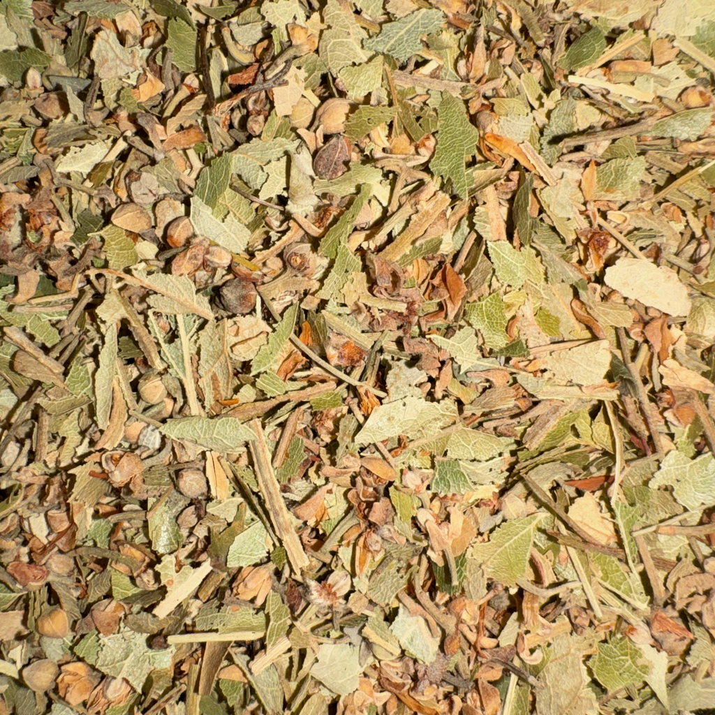 Linden Flower & Bract