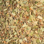 Linden Flower & Bract