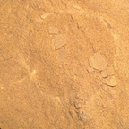 Maca Root Powder