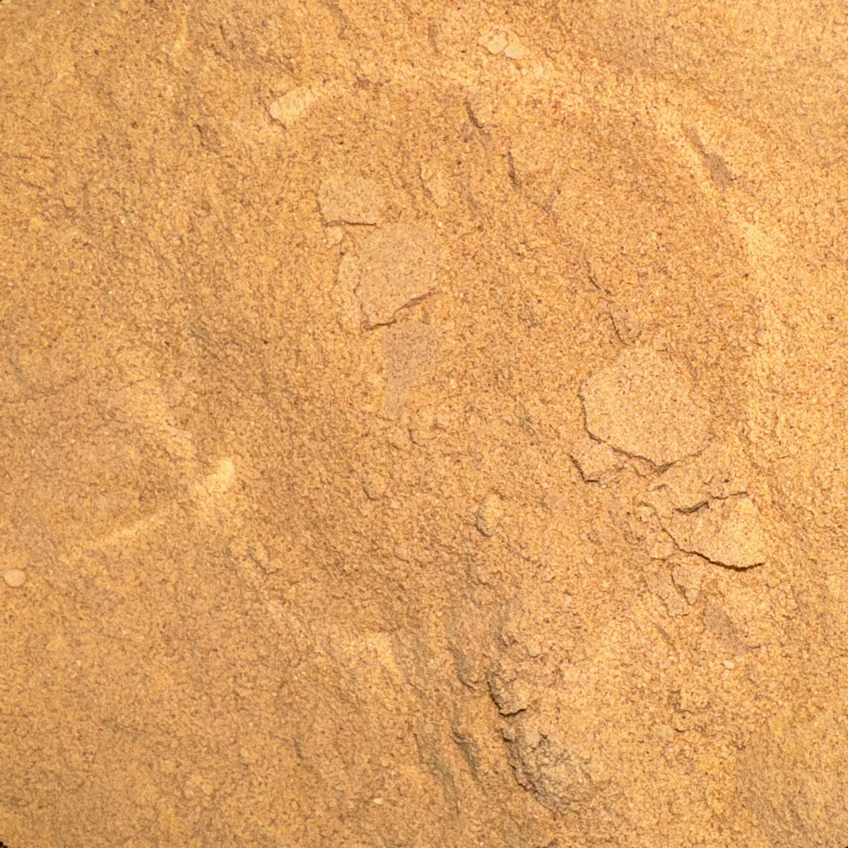 Maca Root Powder