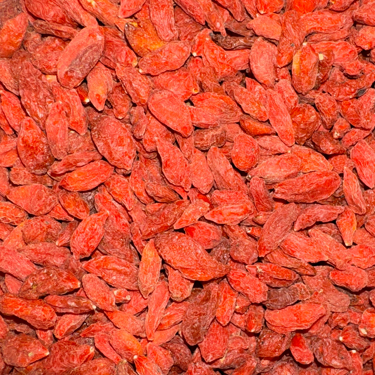 Lycii Fruits - Goji Berries