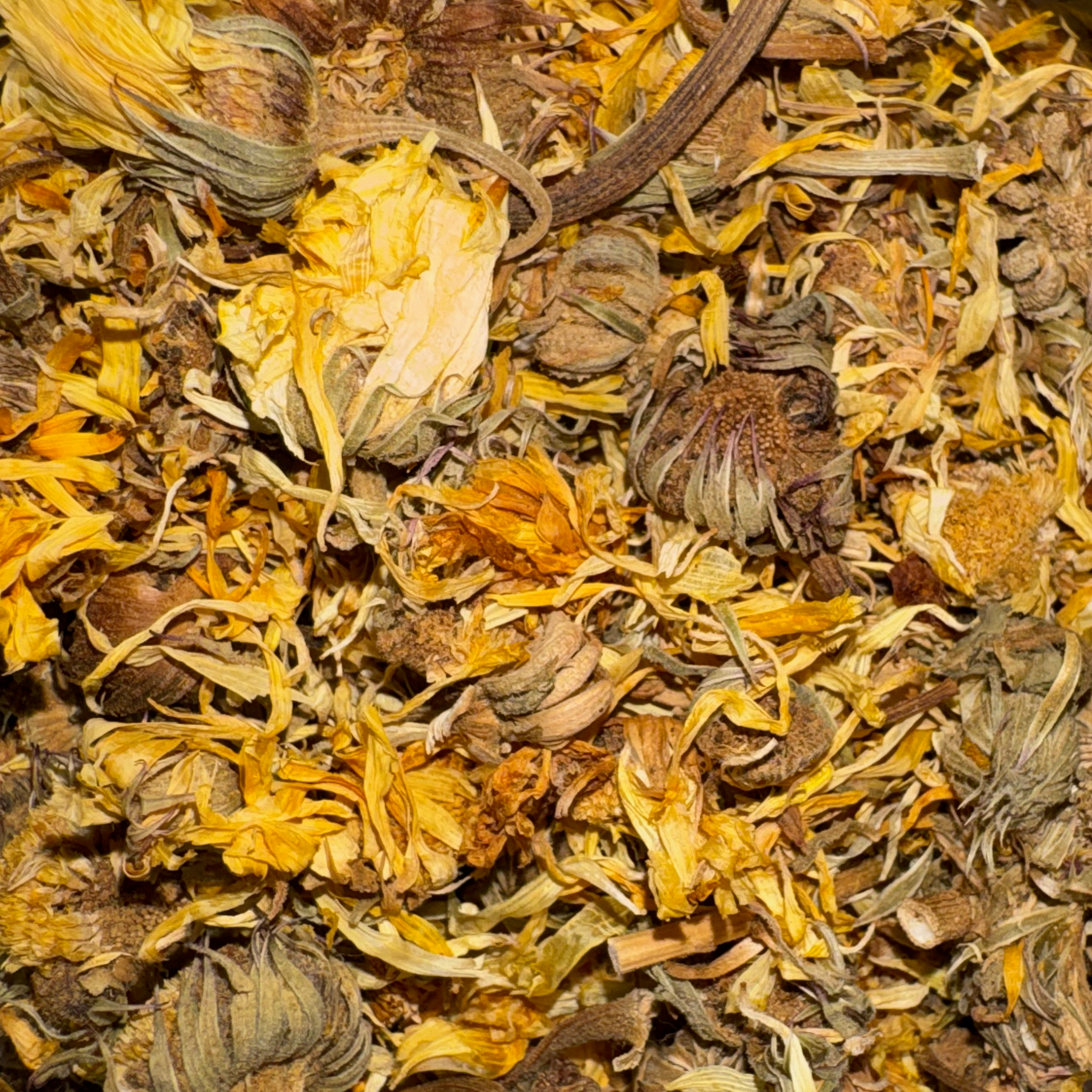 Marigold (Calendula) Flowers Whole