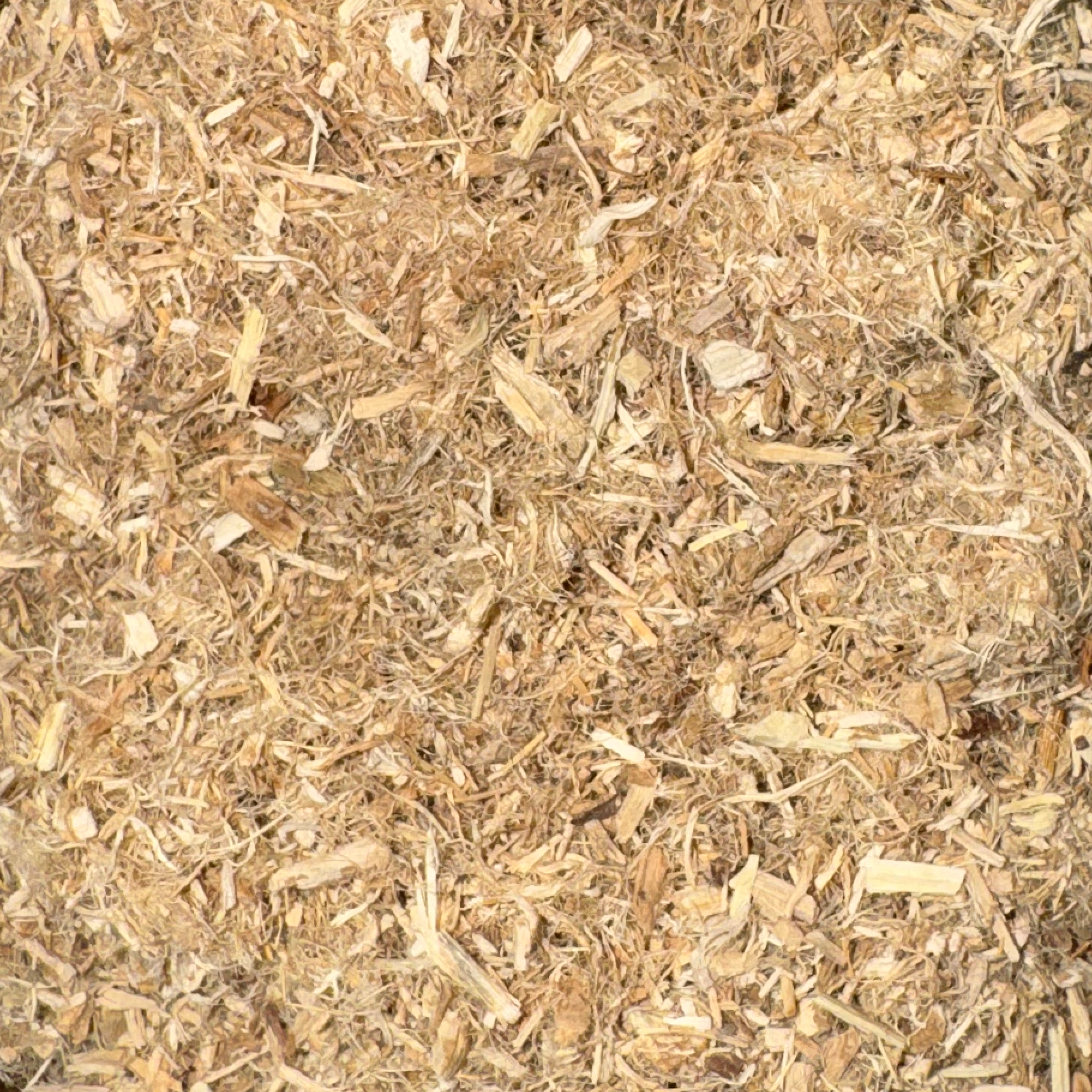 Marshmallow Root Cut