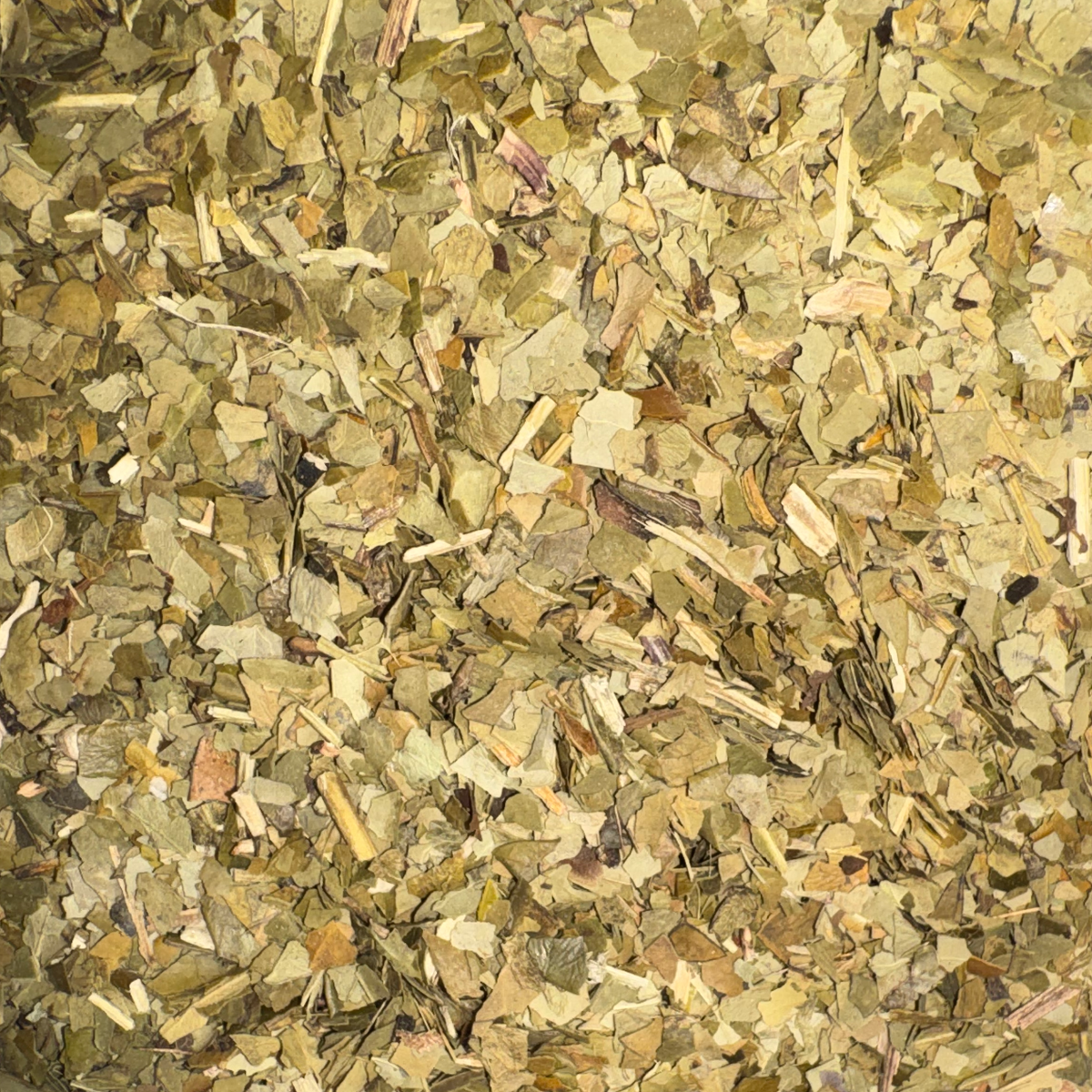 Mate (Yerba) Leaf Cut