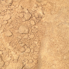 Milk Thistle Seeds Powder