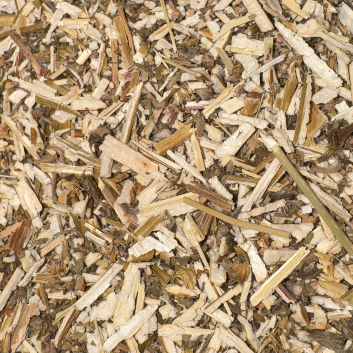 Motherwort Cut