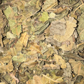 Mulberry Leaf