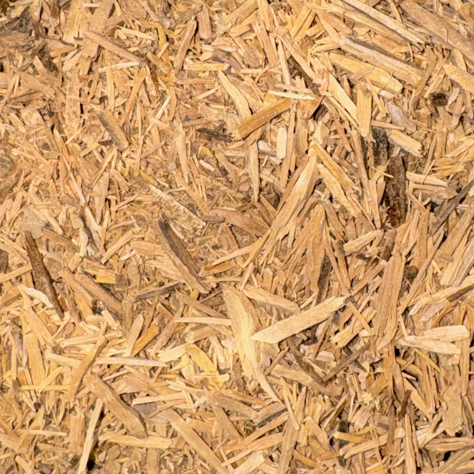 Muira Puama Bark Cut