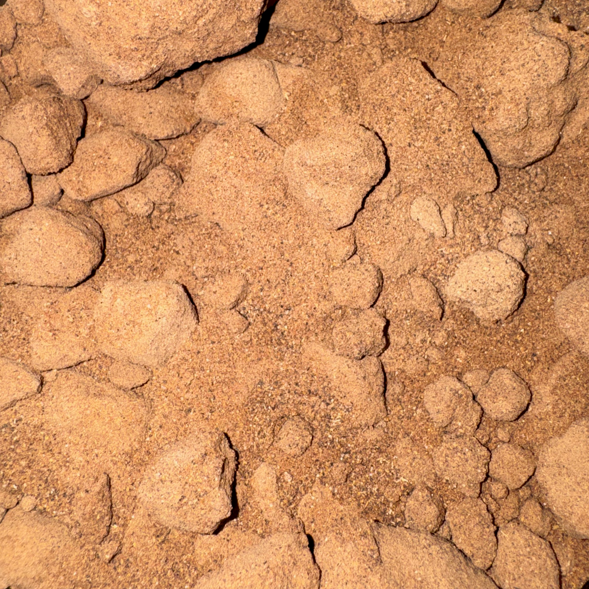 Myrrh Gum Powder